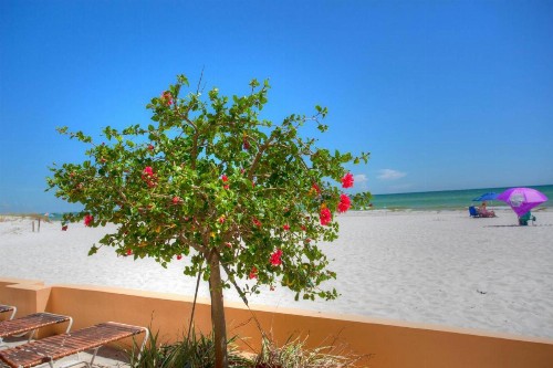 607- Villa Madeira - image 5