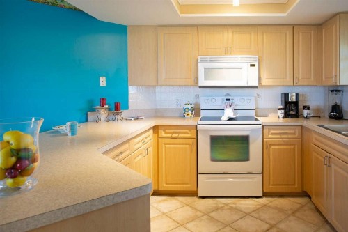505 - Gulf Strand - image 4