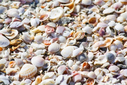 1501 - Gulf Winds - image 35