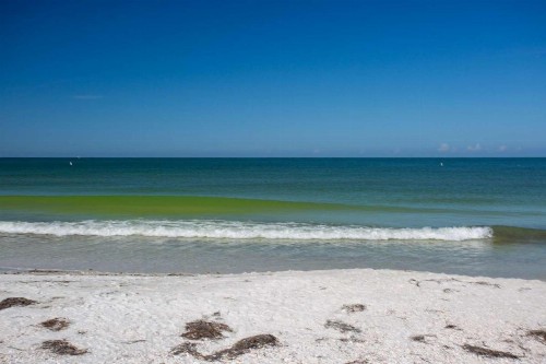 1 - Beach Club At Pass-A-Grille - image 28