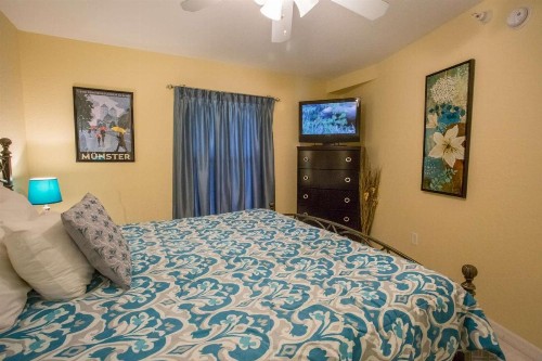 607 - South Beach Condos - image 11