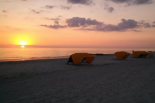 103 - Sea Cottage - image 11
