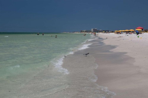 612 - Island Inn - image 3