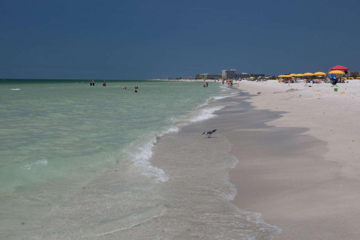 612 - Island Inn - image 3