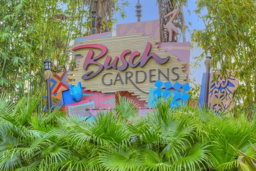 409 - Madeira Bay Resort - image 28