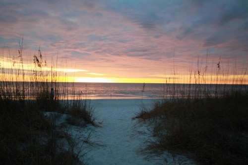 409 - Madeira Bay Resort - image 32