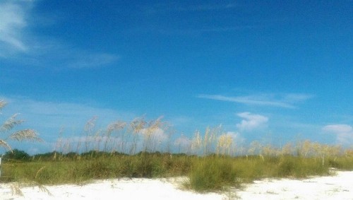 PAG Beachhouse Rentals - image 13