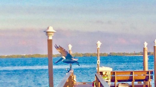 PAG Beachhouse Rentals - image 24