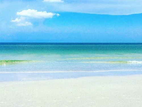 PAG Beachhouse Rentals - image 4