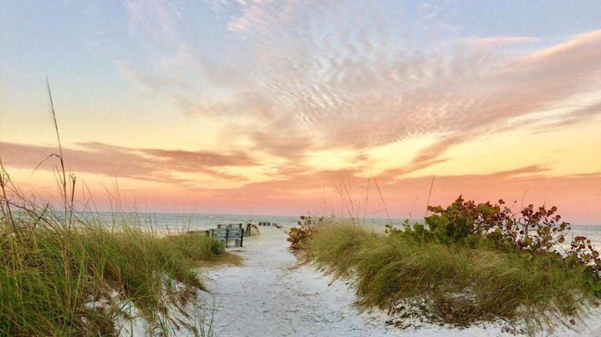 PAG Beachhouse Rentals - image 7