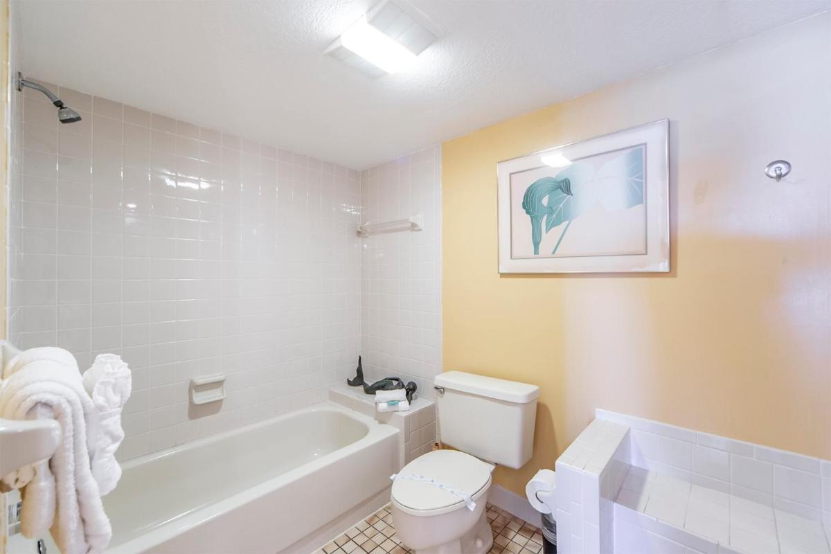 401 Arie Dam Condos - image 6