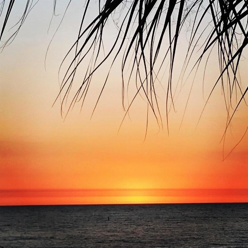 207 Beach Place Condos - image 16