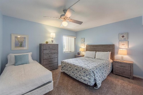 301 The Shores Condo - image 25