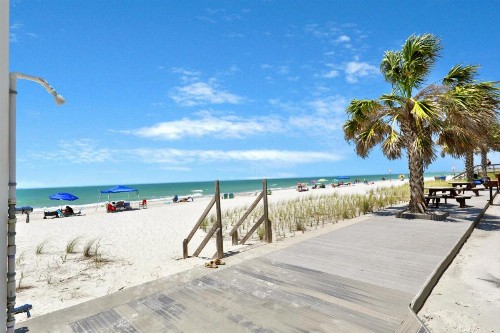 2 Bed 2 Bath Apartment in Tampa Bay - image 8