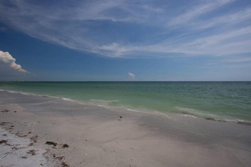 Gulf Spray - C - image 17
