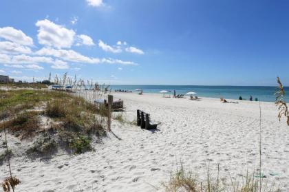 The Cottages at Madeira Beach/Sea Turtle - image 15
