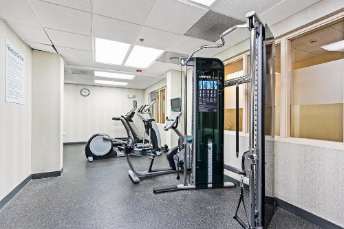 Holiday Inn - St. Petersburg West an IHG Hotel - image 14