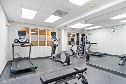 Holiday Inn - St. Petersburg West an IHG Hotel - image 18