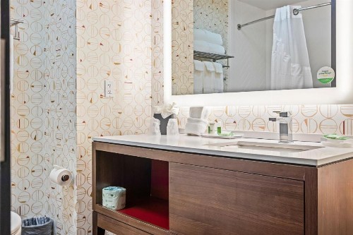 Holiday Inn - St. Petersburg West an IHG Hotel - image 19