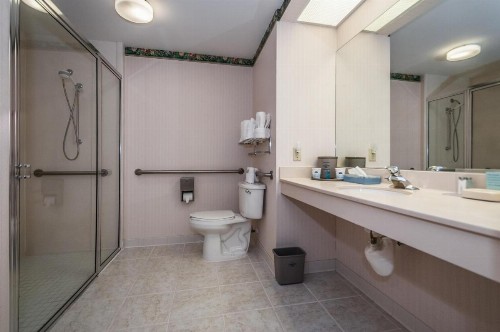 Holiday Inn - St. Petersburg West an IHG Hotel - image 2