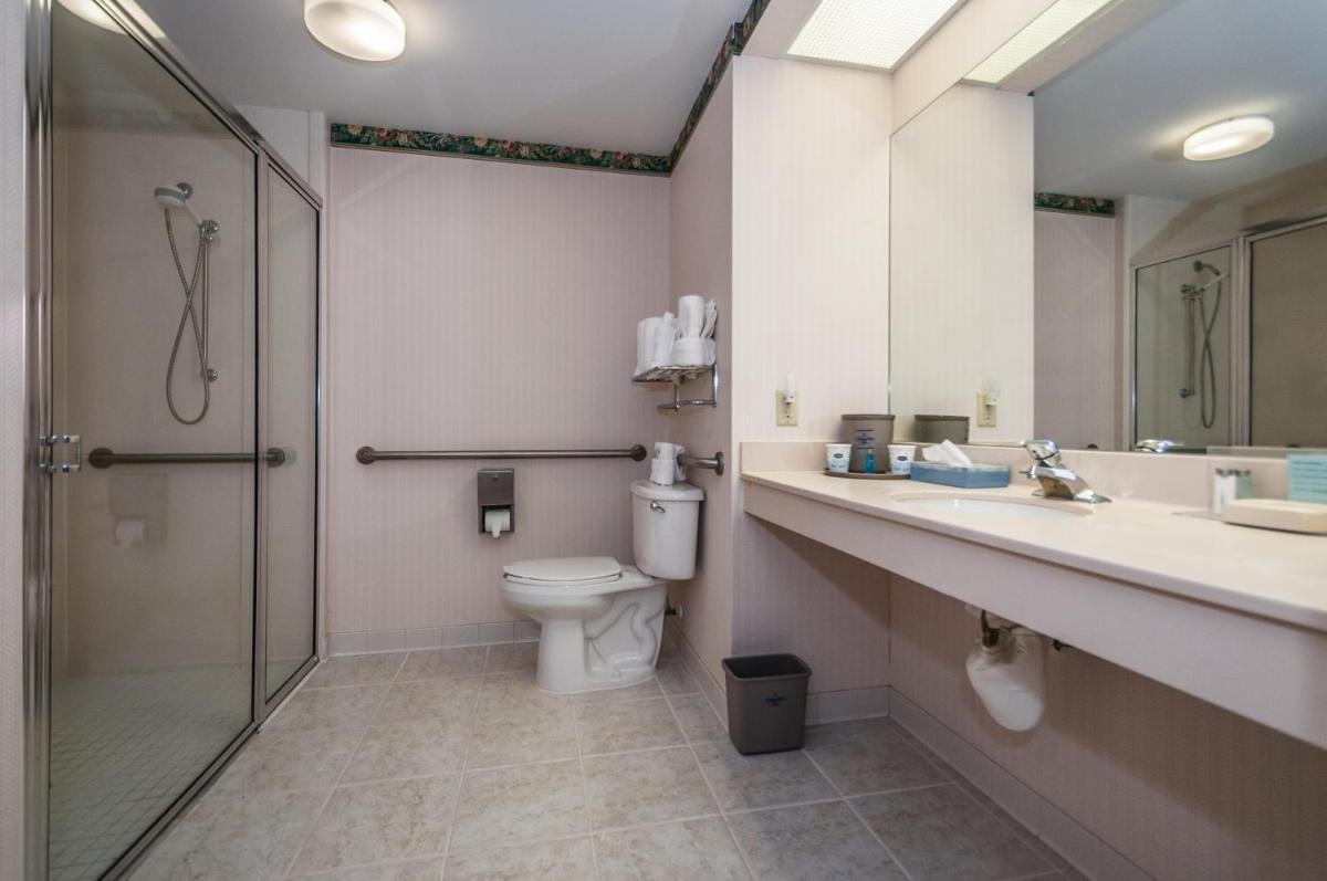 Holiday Inn - St. Petersburg West an IHG Hotel - image 2
