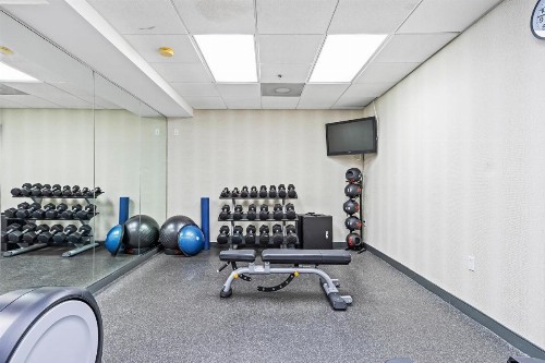 Holiday Inn - St. Petersburg West an IHG Hotel - image 7