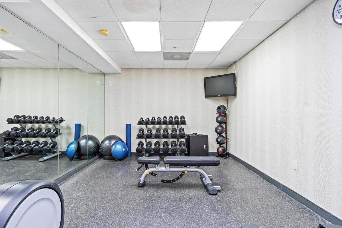 Holiday Inn - St. Petersburg West an IHG Hotel - image 7