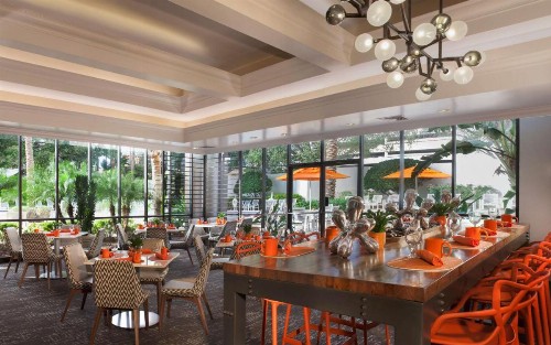 Hilton St. Petersburg Bayfront - image 17