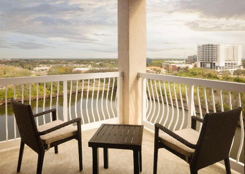 Hilton St. Petersburg Carillon Park - image 38