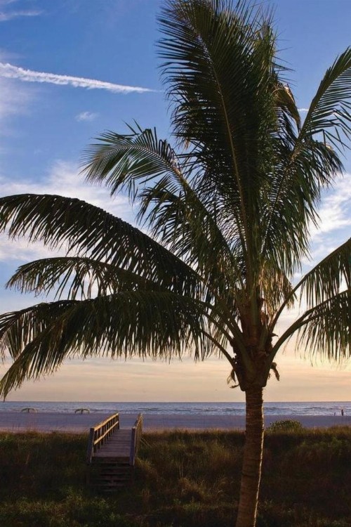 Residence Inn by Marriott St. Petersburg Treasure Island - image 12