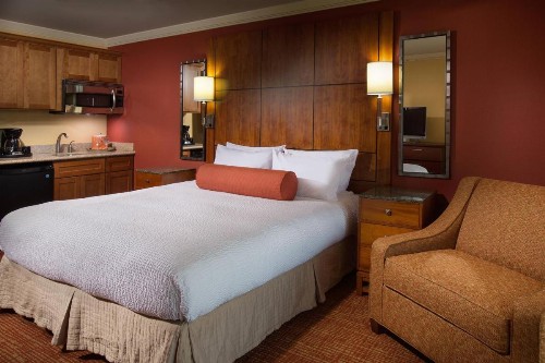 Residence Inn by Marriott St. Petersburg Treasure Island - image 16