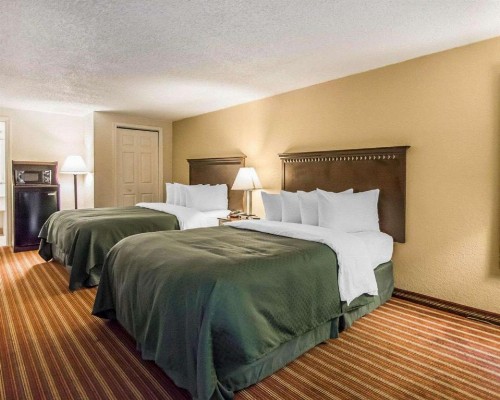 Quality Inn & Suites At Tropicana Field - image 15