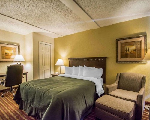 Quality Inn & Suites At Tropicana Field - image 20