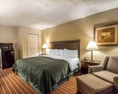 Quality Inn & Suites At Tropicana Field - image 32