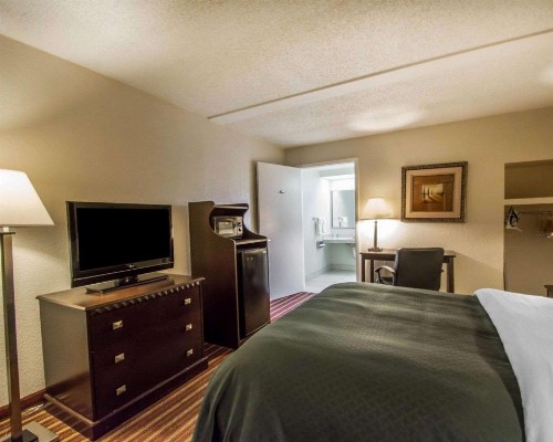 Quality Inn & Suites At Tropicana Field - image 42