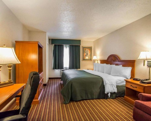 Quality Inn & Suites At Tropicana Field - image 44