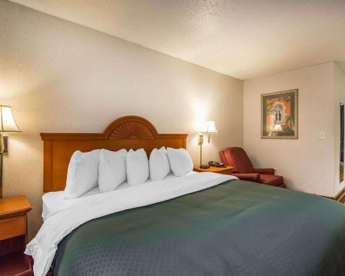 Quality Inn & Suites At Tropicana Field - image 45