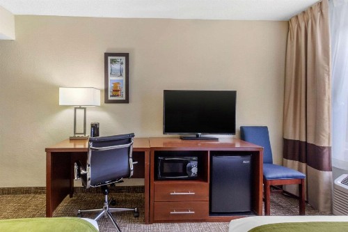 Comfort Inn St Petersburg North - image 12