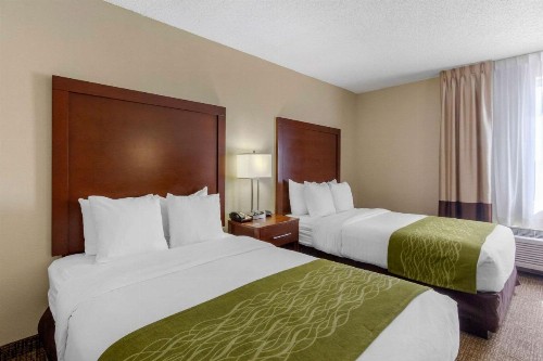 Comfort Inn St Petersburg North - image 14