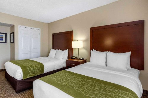Comfort Inn St Petersburg North - image 15
