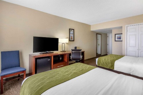 Comfort Inn St Petersburg North - image 16