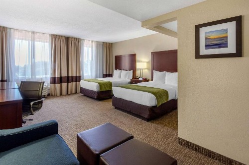 Comfort Inn St Petersburg North - image 18