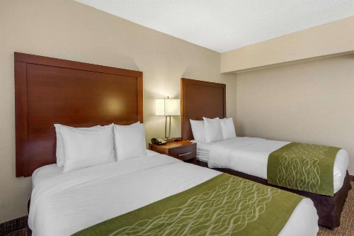 Comfort Inn St Petersburg North - image 20