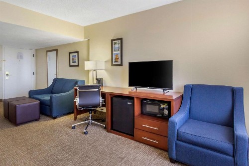 Comfort Inn St Petersburg North - image 21