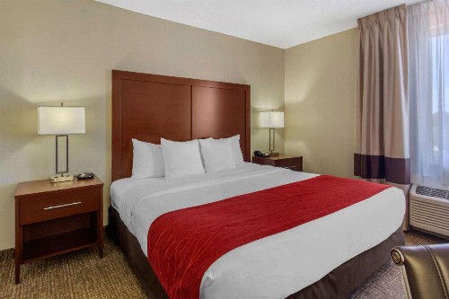 Comfort Inn St Petersburg North - image 22