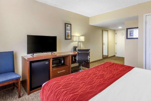 Comfort Inn St Petersburg North - image 24