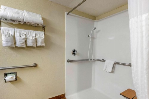 Comfort Inn St Petersburg North - image 25