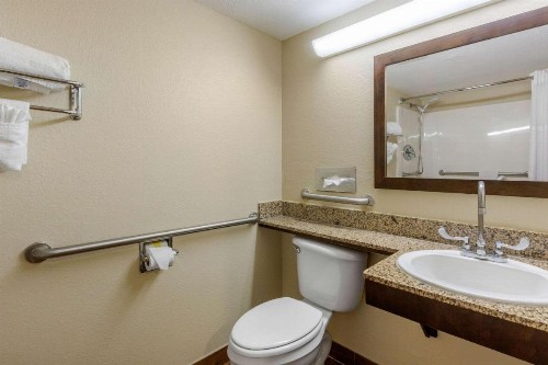 Comfort Inn St Petersburg North - image 31