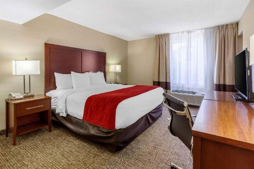 Comfort Inn St Petersburg North - image 32