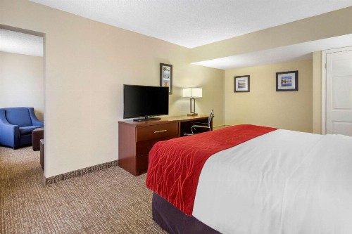 Comfort Inn St Petersburg North - image 33